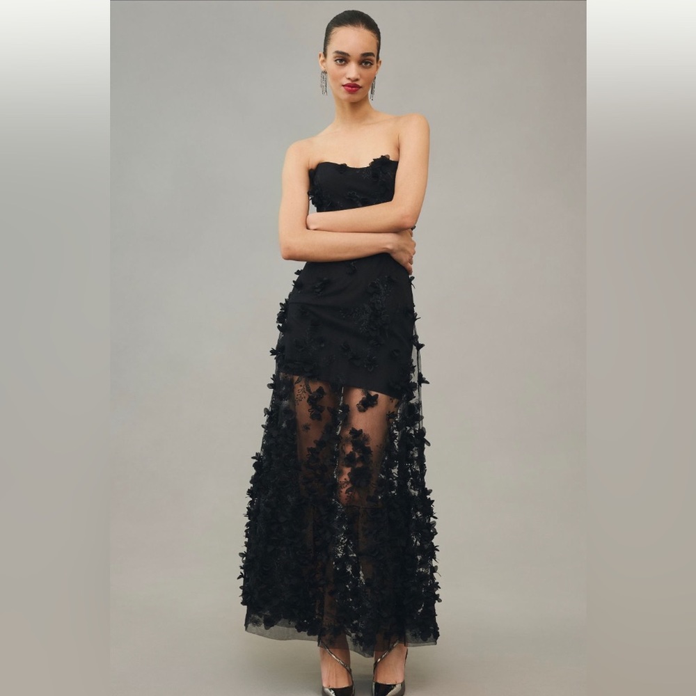 Helsi sheer strapless appliqué dress bought from Anthropology